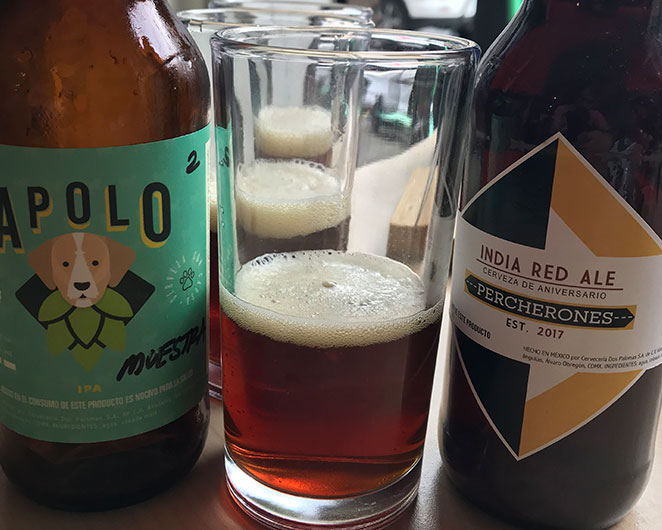 sonora-street-food-percherones-roma-ciudad-mexico-cdmx-godinez-gourmet_3